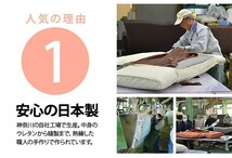 【送料無料】和楽の雲座椅子/合皮ブラウン/上タイプ_画像4