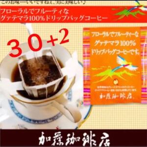 加藤珈琲店 ドリップバッグ 人気♪グァテマラ 30袋