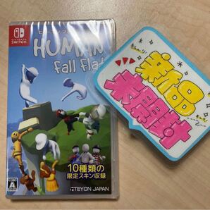 【switch】ヒューマンフォールフラット