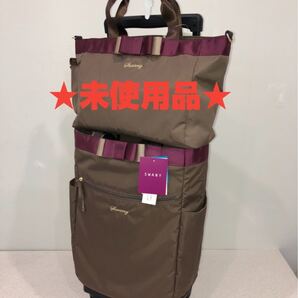 ★未使用品サブバッグ付のお買い特セット★ スワニー SWANY D-530 ルバンド2 L21サイズ ベージュ色
