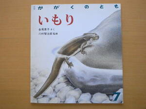 いもり/かがくのとも220号/金尾恵子/川村智治郎/イモリ/卵/子供が育つ/成長/水槽/観察/昭和レトロ絵本/ソフトカバー/★記名あり