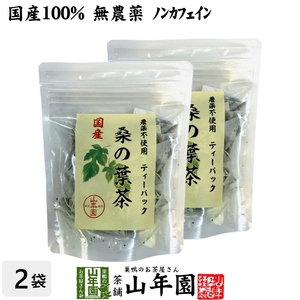 健康茶 国産100% 桑の葉茶 ティーパック 1.5g×20パック×2袋セット 無農薬 ノンカフェイン 送料無料