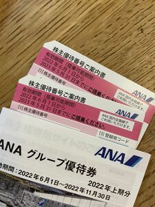 ANA 株主優待割引券2枚　2023年5月31日迄　普通郵便送料無料