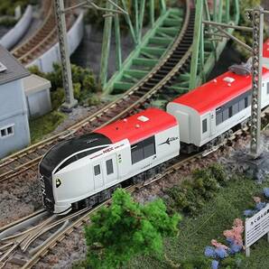 Zゲージ E259系 成田エクスプレス 鉄道模型 電車 ジオラマ ストラクチャー 送料無料