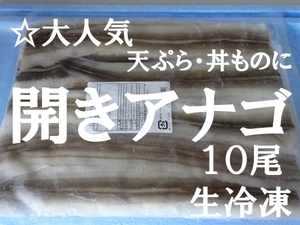 ☆天ぷら/丼ものなどに　骨切　開きアナゴ　１０尾×６０ｇ　生冷凍*