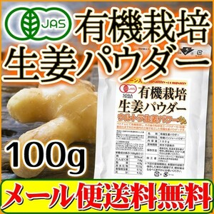 オーガニック 生姜 パウダー100ｇ 有機栽培 無添加 しょうが 粉末 メール便 送料無料