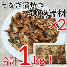 １円～【500ｇ×2袋で合計1ｋｇ】うなぎ蒲焼500ｇ カット端材/刻み鰻 【真空パックで長期冷凍保存可】おつまみ/炊き込みご飯/海鮮丼_画像1