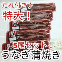 ★1円～ うなぎ蒲焼き 5尾セット【特大 無頭１尾約220ｇ肉厚】贈答用/ギフト/贈り物 たれ付き♪ 脂乗り抜群！ 安心の業者販売 鰻 _画像1