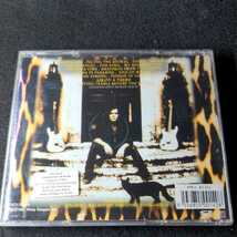 6-98【輸入】YNGWIE MALMSTEEN FACING THE ANIMAL _画像3