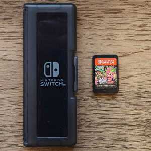 任天堂 Nintendo Switch 純正専用ソフトケース付き スプラトゥーン2 スプラ2 動作確認済み ニンテンドー スイッチ オンライン 美品 