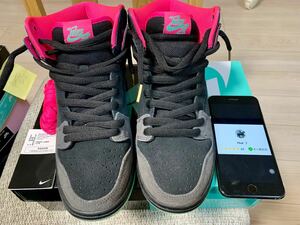 Nike Dunk SB High Premier Northern Lights 313171-063