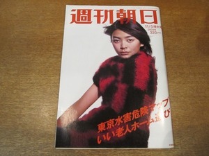 2010ND●週刊朝日 2004.11.5●表紙 田畑智子/東京水害危険マップ/いい老人ホーム選び/秋吉久美子/宝塚大運動会/法科大学院残酷物語