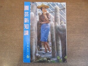 2205MK●園芸新知識 1961昭和36.6/タキイ種苗株式会社●特集:今年のキャベツ栽培の新しい狙い/新しい家庭園芸・肥料の知識