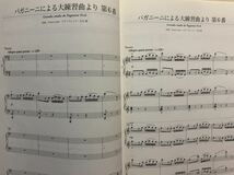 ピアノ 連弾 楽譜 上級 リスト イン デュオ　Liszt in DUO　編曲：大宝博 金益研二_画像6