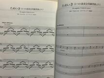 ピアノ 連弾 楽譜 上級 リスト イン デュオ　Liszt in DUO　編曲：大宝博 金益研二_画像8