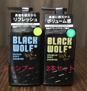 ボリュームアップスカルプシャンプー 2本セットv