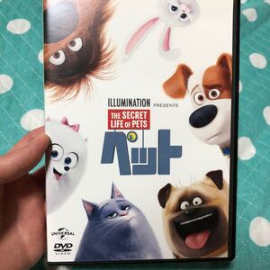 ペットDVD