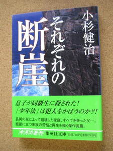 ★それぞれの断崖★小杉健治著　集英社文庫