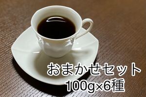 おまかせセット 自家焙煎コーヒー豆600g (100g×6個)