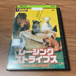 レーシングストライプス　映画　DVD レンタル落ち