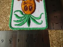 HAWAII ハワイ パイナップル 刺繍ワッペン/ABC STORES観光お土産アロハ旅行アメリカUSAパッチSURF海ABCストア旅スーベニアA②_画像10