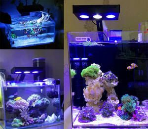 売れ筋商品 [METIS] LED 水槽ライト アクアリウムライト 海水魚 海水槽 サンゴ 調光 照明 LED3個 高 m542