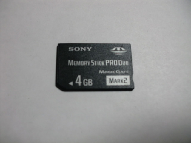 高く 売る 【SONY純正】メモリースティック Proデュオ 4GB ×2枚 663420da 激安通販できます -www.cfscr.com