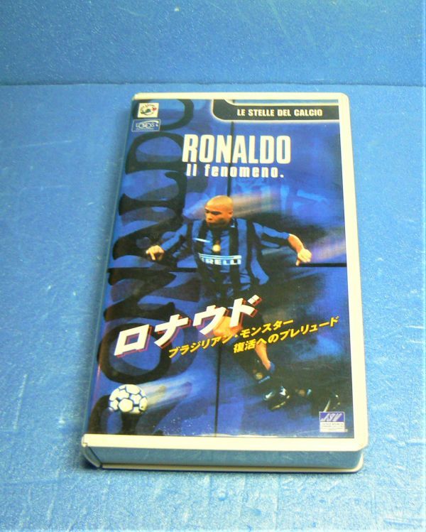 2023年最新】ヤフオク! -ブラジリアンモンスターの中古品・新品・未