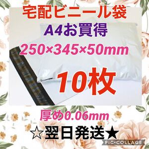 【翌日発送】宅配用ビニール袋 A4サイズがすっぽり入る 10枚セット