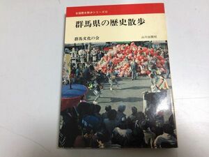 ●P309●群馬県の歴史散歩●全国歴史散歩シリーズ●山川出版社●前橋市上野国府跡赤城山伊勢崎高崎市中山道姫街道桐生大光院三国街道