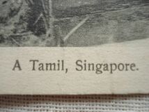 【絵葉書1枚】 SINGAPORE - A Tamil /Koh. & Co /シンガポール タミル /海峡植民地 ヴィンテージ 外国 ハガキ /ハ17-[5]_画像2