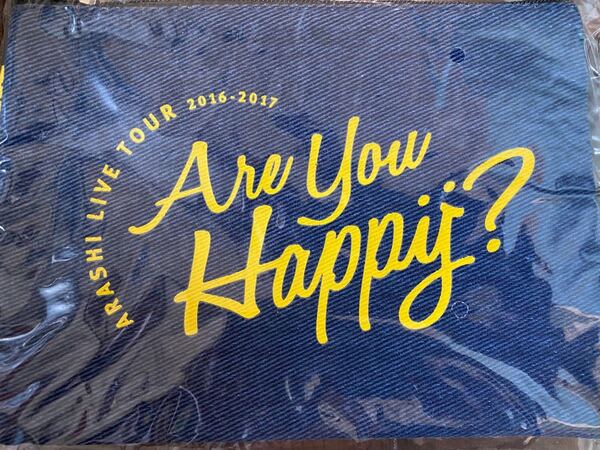 嵐 Are you Happy? ポーチ