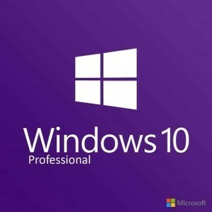 Microsoft Windows 10 Pro 32bit/64bit 正規日本語版 + 永続 + インストール完了までサポート + 再インストール可能 + PDF　マニュアル