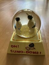 トーキョースノードーム　「OH!SUMO-DOME!」大相撲　◆クールラッシュ_画像1