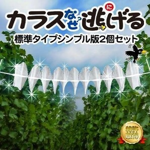 カラス対策 忌避 カラス撃退！カラスなぜ逃げる標準タイプ シンプル版 2個セット