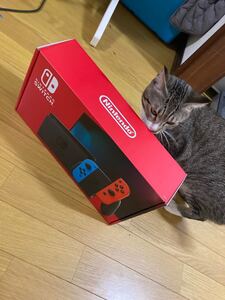 ニンテンドーSwitch