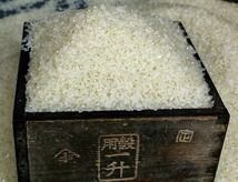 代々受け継がれた熟練の米作り