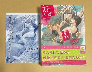 【　恋という字はどう書くの　】　鳩村衣杏／亜樹良のりかず　ペーパー＋透明ブックカバー付