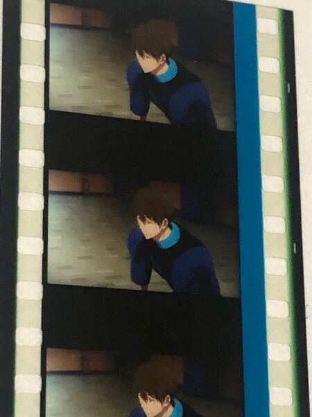 劇場版 Free! 特典 コマフィルム 1枚