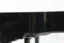 〇 SEGA TOYS Grand Pianist グランドピアニスト 1/6スケール ミニチュア グランドピアノ 自動演奏 セガトイズ 【保証品】_画像7