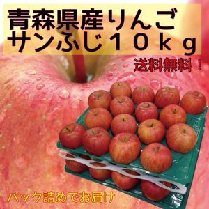 青森県産　家庭用　りんご　サンふじ　訳あり　10kg　全国送料無料！4