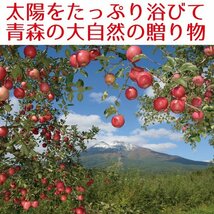 青森県産　家庭用　りんご　サンふじ　訳あり　10kg　全国送料無料！_画像3