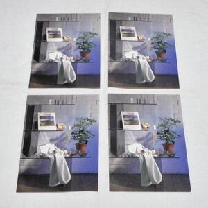 Felissimo フェリシモ ポストカード4枚セット ガラス棚と観葉植物