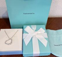 新品 正規品 ティファニー tiffany&co ネックレス オープンハート 2.7cm ラージ シルバー ケース巾着紙袋リボンラッピング付き プレゼント_画像1