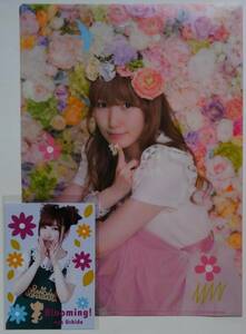 Art hand Auction ■即決■内田彩 Blooming! とらのあな購入特典 ブロマイド&クリアファイル のみ 非売品, タレントグッズ, 写真