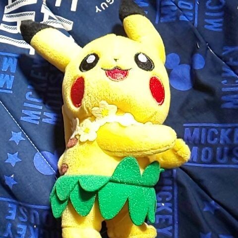 ワールドシップス2010ピカチュウ ぬいぐるみ