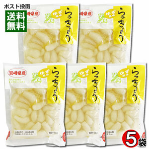 霧島食品工業 ゆず風味らっきょう 90g×5袋まとめ買いセット 宮崎県産らっきょう使用