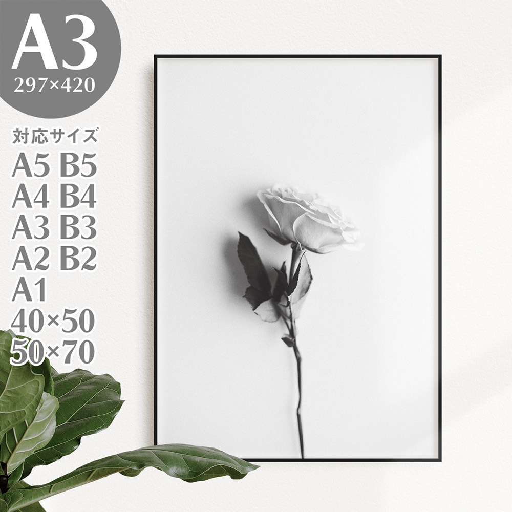 BROOMIN Art Poster Photo Poster Photo Rose Monotone Monochrome Noir et Blanc A3 297 x 420 mm AP161, imprimé, affiche, autres