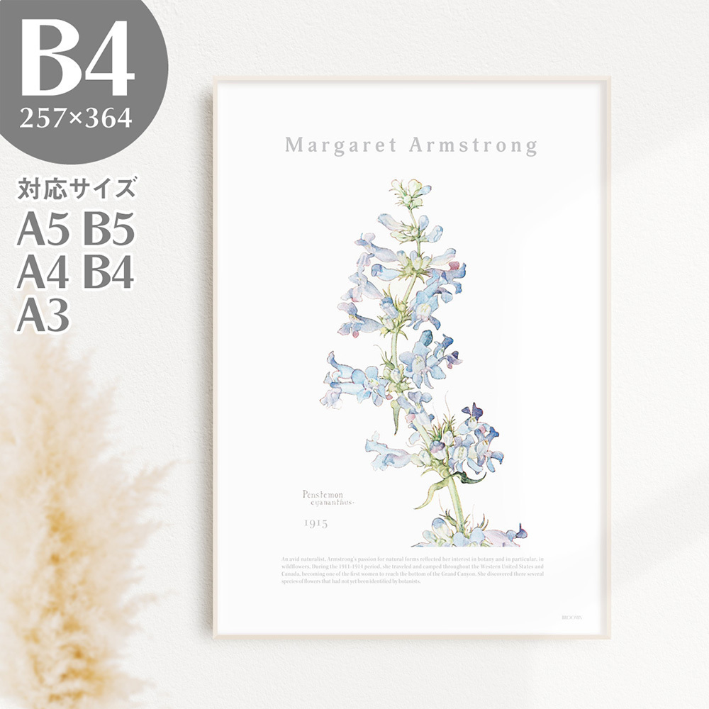 BROOMIN 아트 포스터 이와부쿠로 꽃 식물 자연 라이트 블루 블루 회화 포스터 일러스트 B4 257 x 364mm AP040, 인쇄물, 포스터, 다른 사람