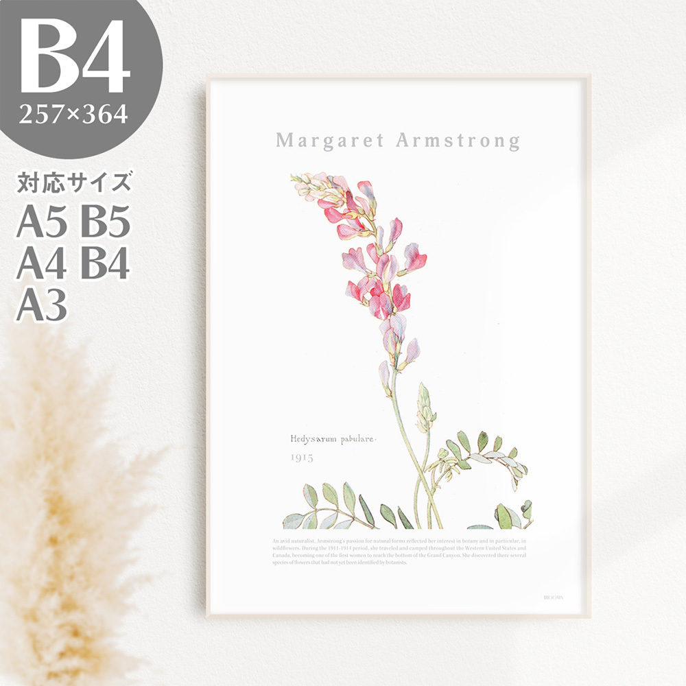 BROOMIN Kunstposter Hedysalm Pflanze Natur Blume rosa Malerei Plakat Illustration B4 257 x 364 mm AP036, Gedruckte Materialien, Poster, Andere